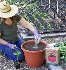 applying fertilizer to a container