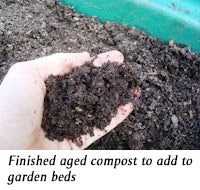 finished aged compost to add to garden bed