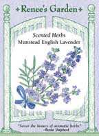 Munstead English Lavender packet front - Renee's Garden