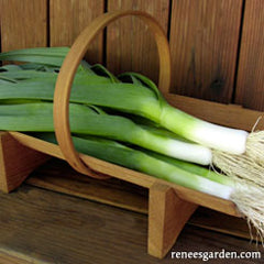 Leeks in a basket