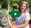 video icon of Lindsay holding a harvested leek