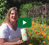 Thumbnail of Lindsay holding a poppy scatter can, with poppies growing in background