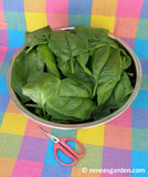 Spinach in a silver mixing bowl next to harvesting scissors on bright gingham fabric - Renee's Garden