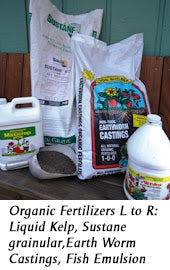 Organic Fertilizers L to R: Liquid Kelp, Sustane grainular, Earth Worm Castings, Fish Emulsion