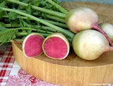 Several whole watermelon radishes and one cut in half to expose the pink flesh inside - Renee's Garden