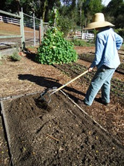 Woman with hat raking the soil to cover the seeds.