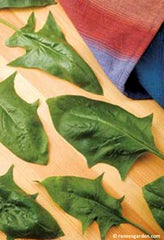 Spinach leaves laid out artfully on a table - Renee's Garden