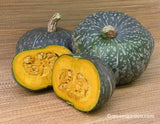 2 whole kabocha squashes and one cut in half - Renee's Garden