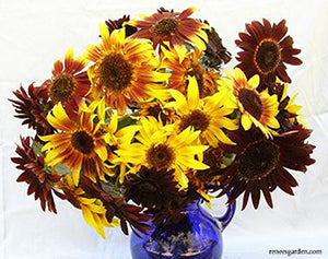 Royal Flush Sunflowers