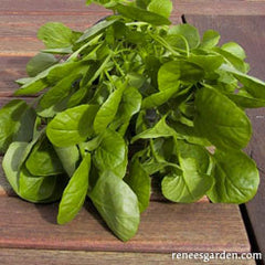 watercress bundle on a garden bench