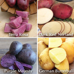 'Heirloom Purple Majesty' Individual Potato Varieties | Renee's Garden ...