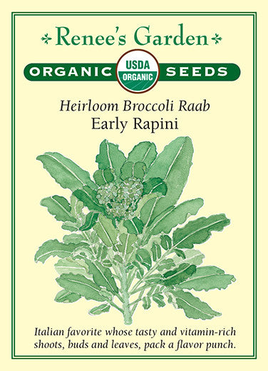 Early Rapini' Heirloom | Renee's Garden Seeds