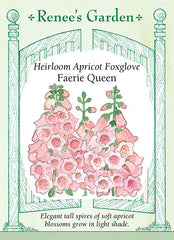 heirloom foxglove seeds