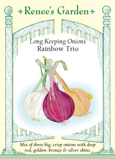 Rainbow Trio Long Keeping Onions Renee S Garden Seeds