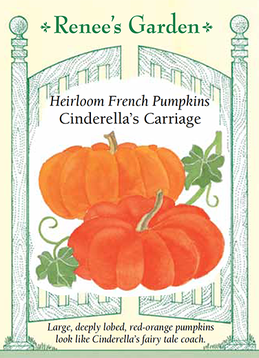 Cinderella's Carriage' Antique French Pumpkins | Renee's Garden Seeds