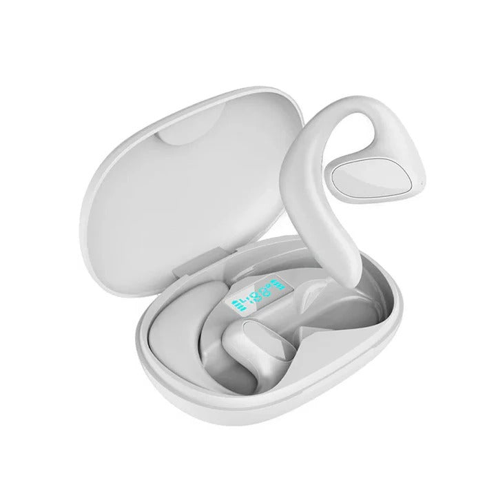Language Translator Earbuds with accessories