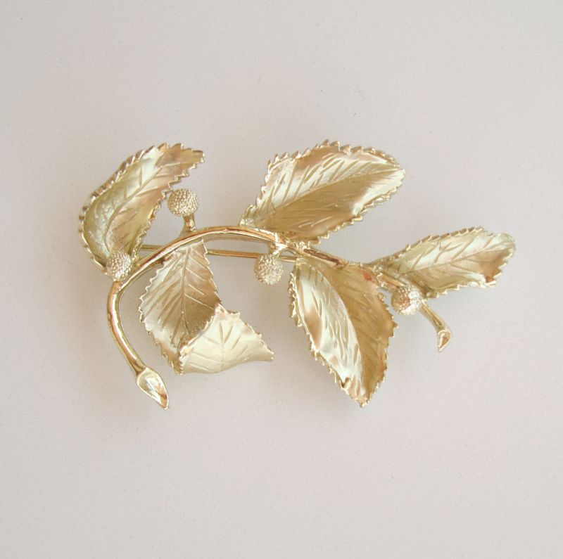 Lighed købe Materialisme CORO Large Floral Brooch Leaves Seed Pods c1950 Vintage Jewelry – Sharon's  Vintage Jewelry