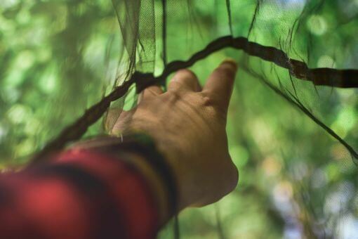 Hammock Mosquito Buyer's Guide