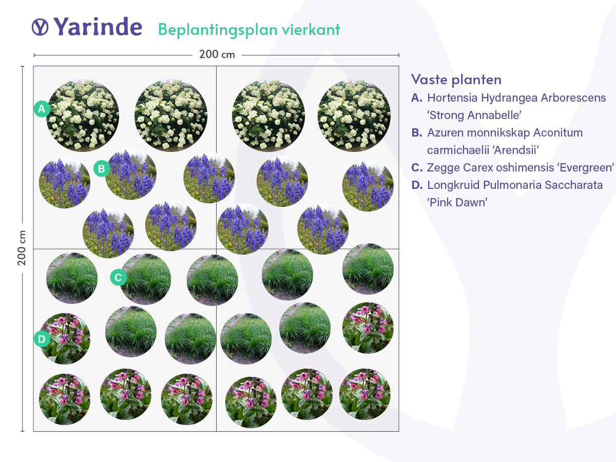 Voorbeeldborder Schaduw