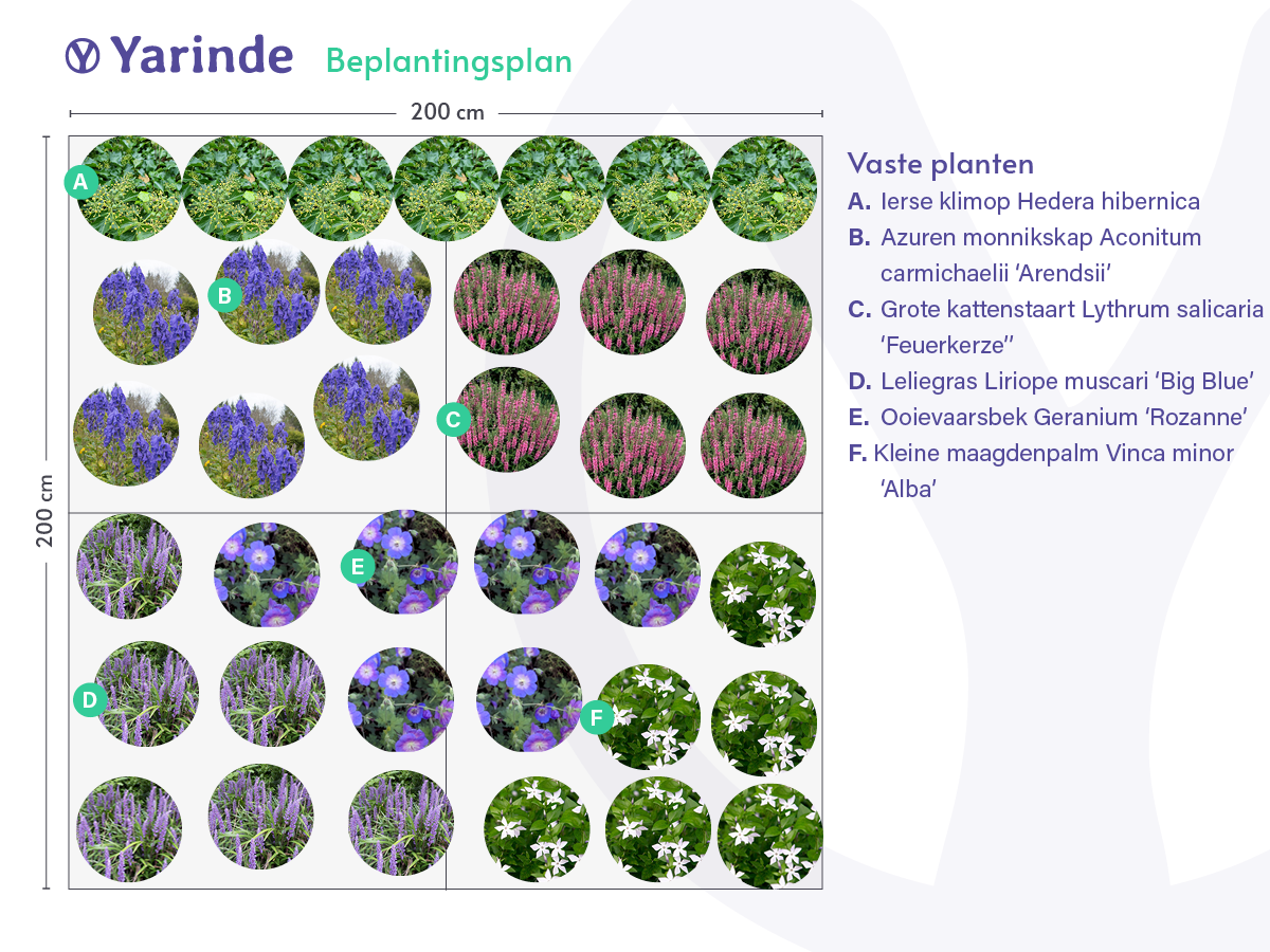 Voorbeeldborder Schaduw