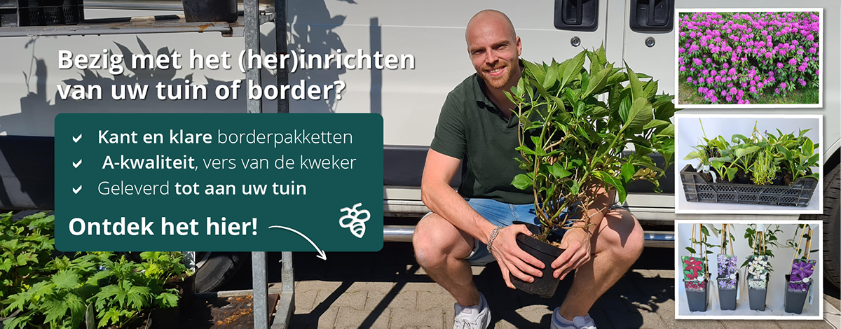 kant en klare borderpakketten tuinplanten