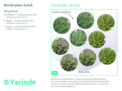 Beplantingsplan borderpakket Aniek