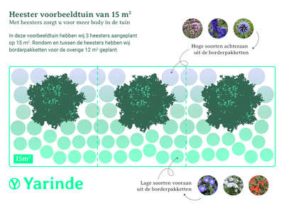 beplantingsplan voor struiken in de borders online