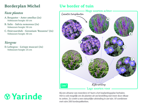 beplantingsplan aanplantplattegrond bij borderpakket Michel