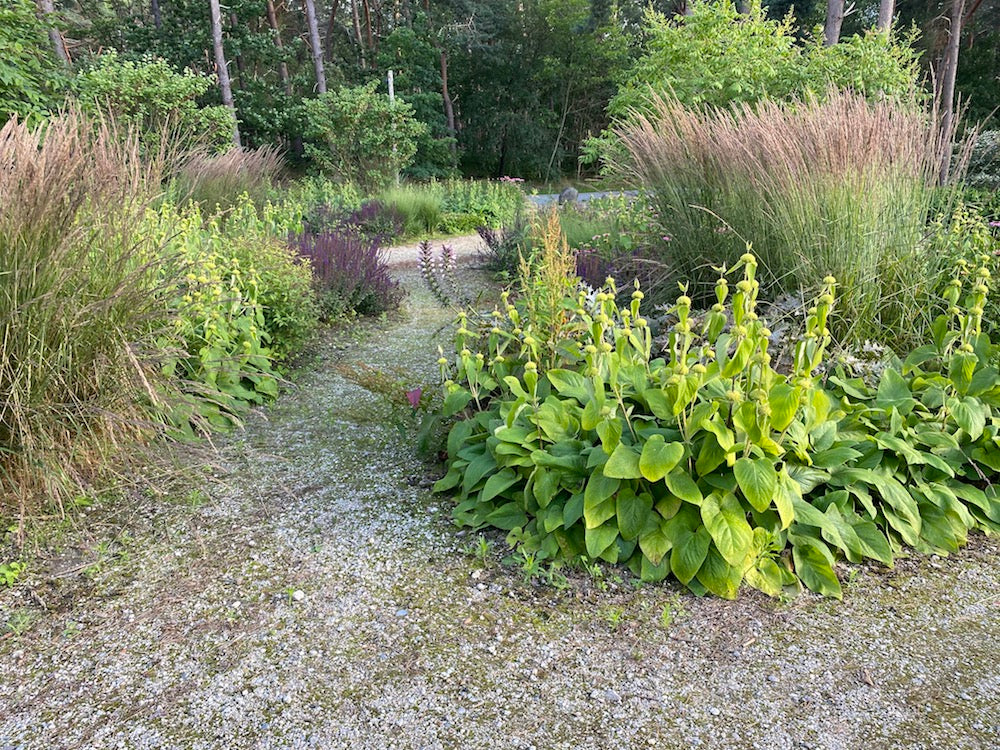 borders met siergrassen en vaste planten