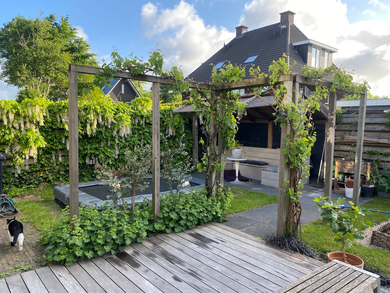 Houten pergola in kleine tuin met klimplanten