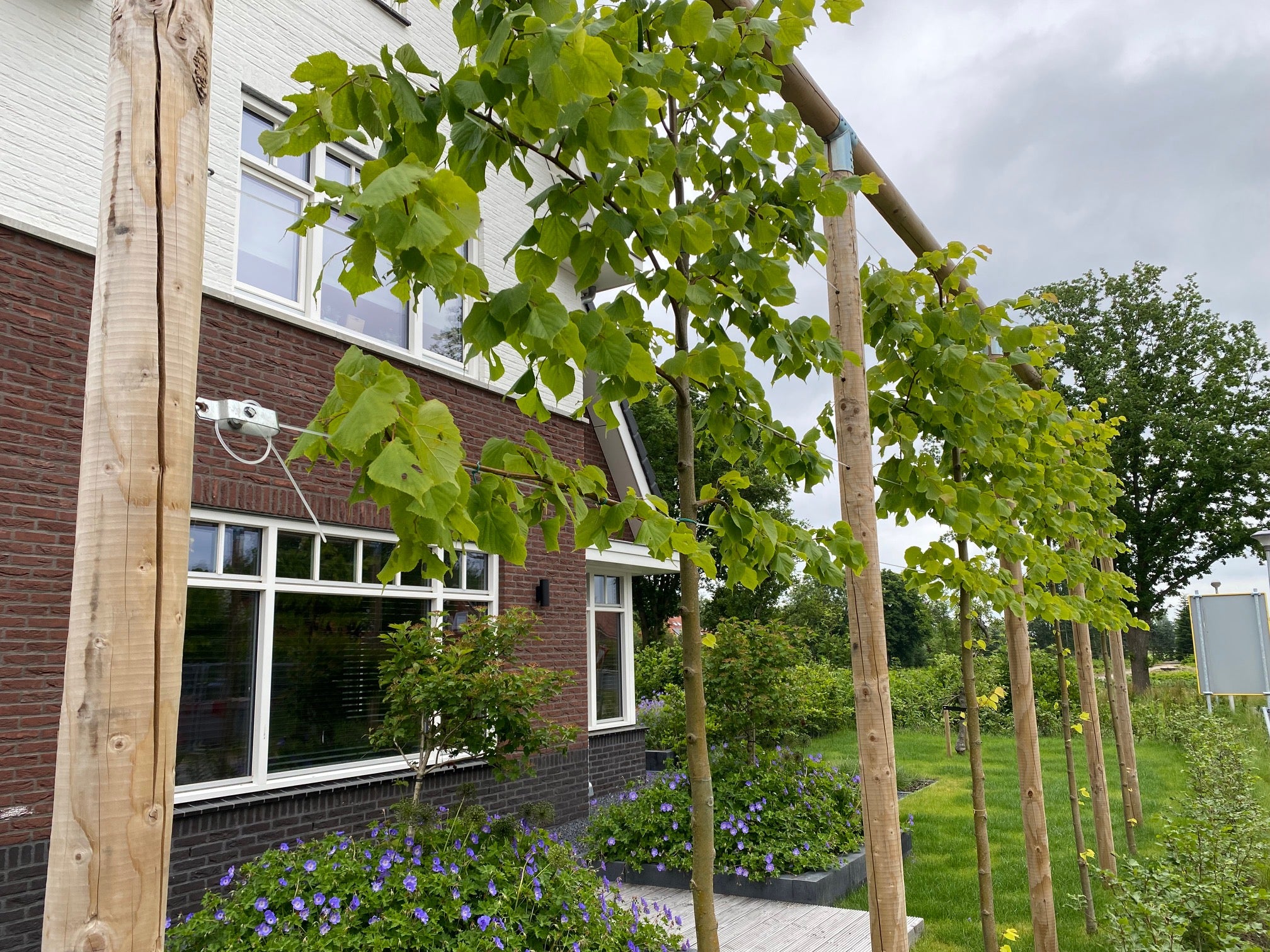 leibomen frame met houten ronde palen stalen hoeken