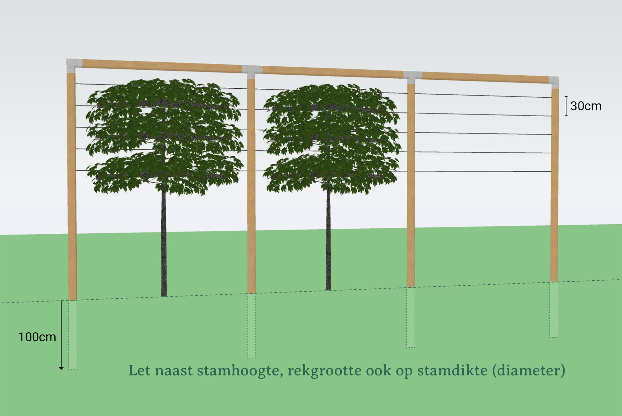 leibomen constructie van ronde palen en staaldraad