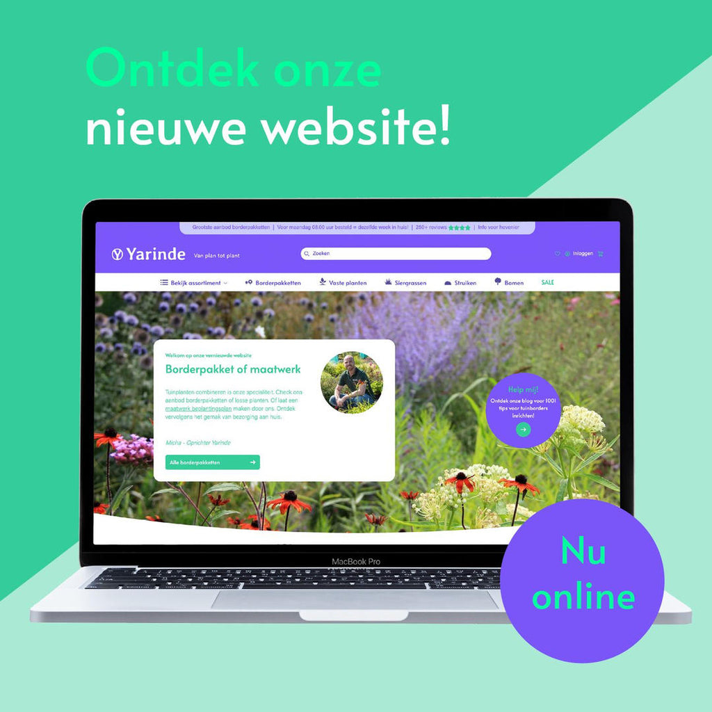 nieuwe website yarinde