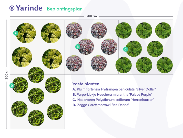 voorbeeld tuinborder schaduwtuinen tuinborder kopen online