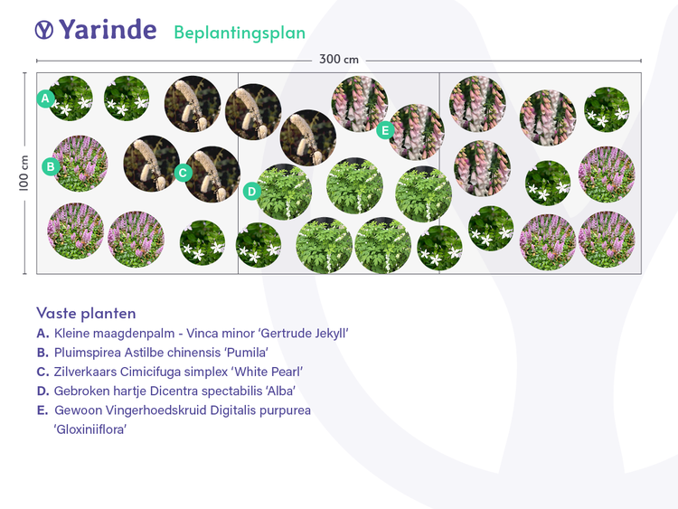 voorbeeld border beplantingsplan voor de schaduwtuin inspiratie