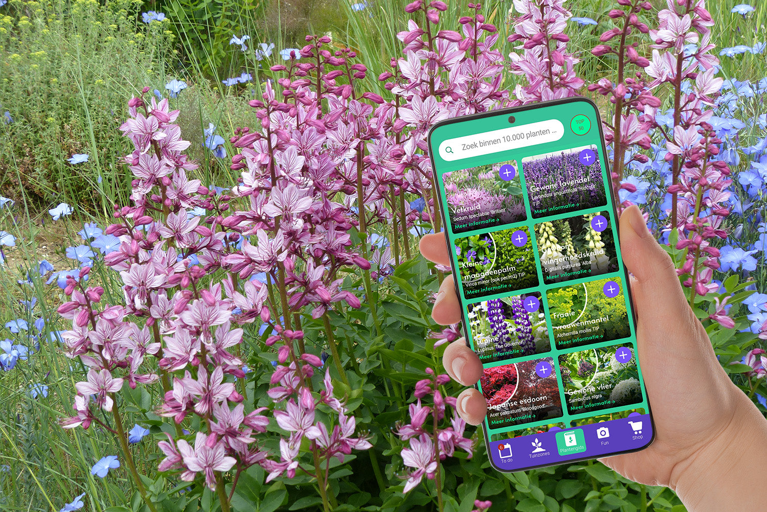 tuinplanten onderhoud app downloaden