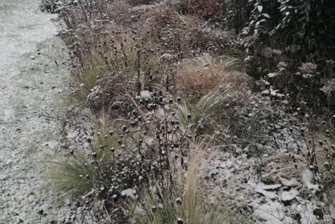 Wintertuin