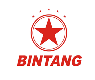 Bintang