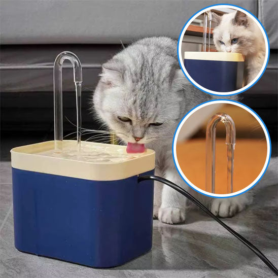 fontaine a eau pour chat bleue
