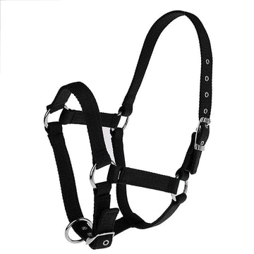 Horse Halters dropshipping Products