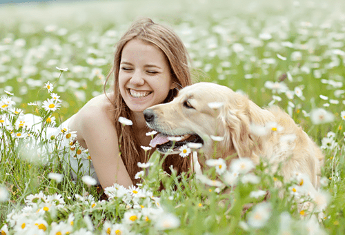 Programme de guérison spirituelle des animaux