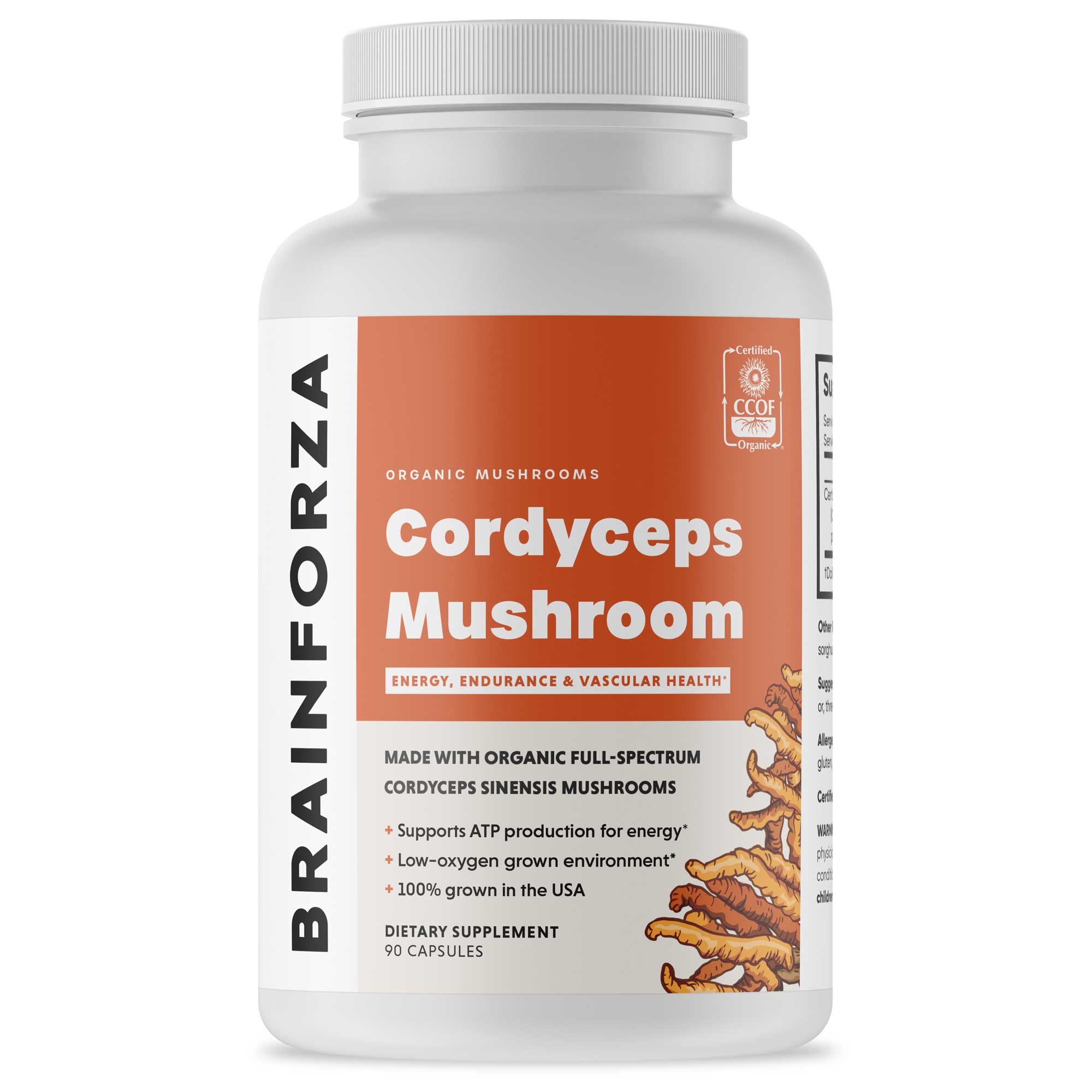 Cordyceps-Mushroom-Mockup-1