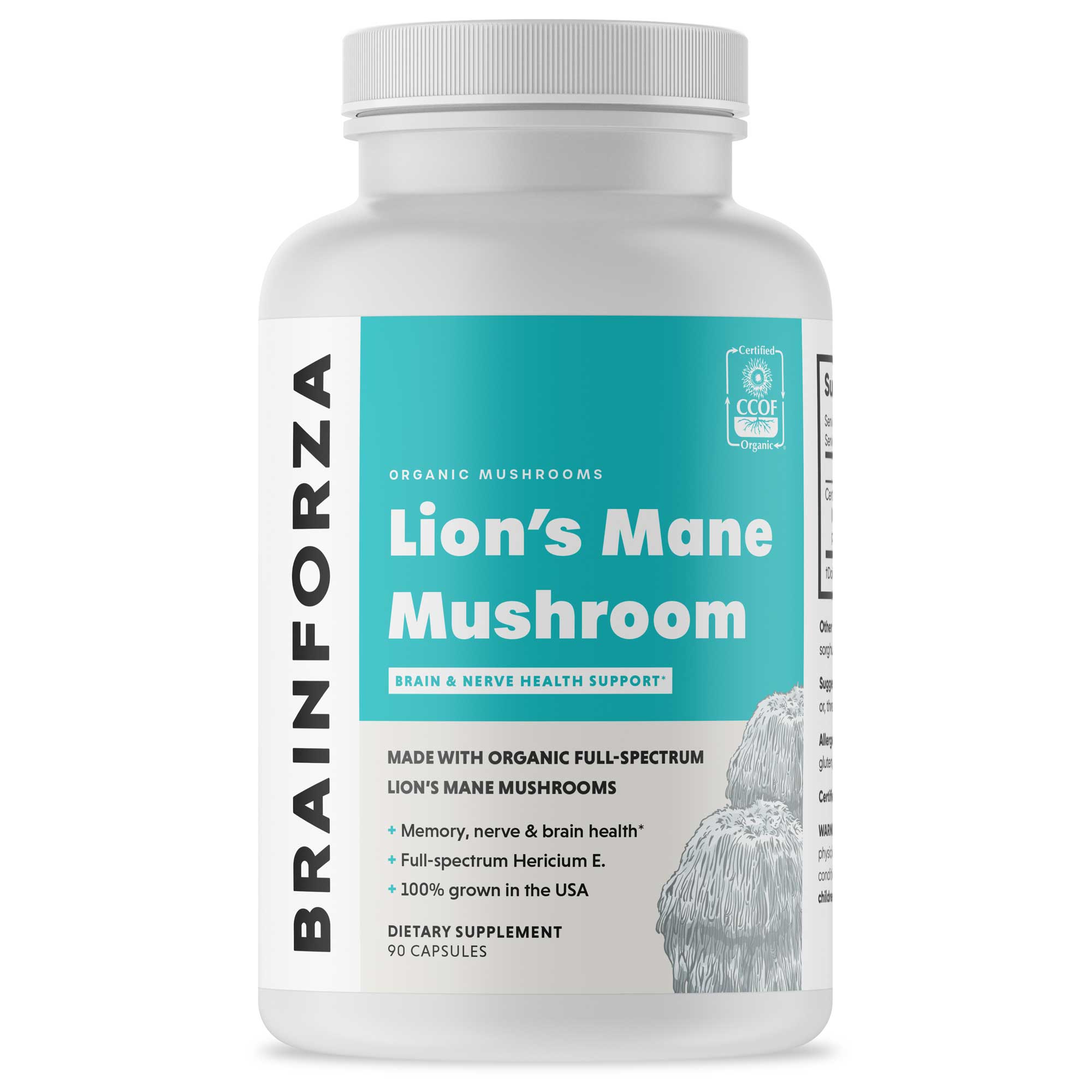 Lion_s-Mane-Mushroom-Mockup-1