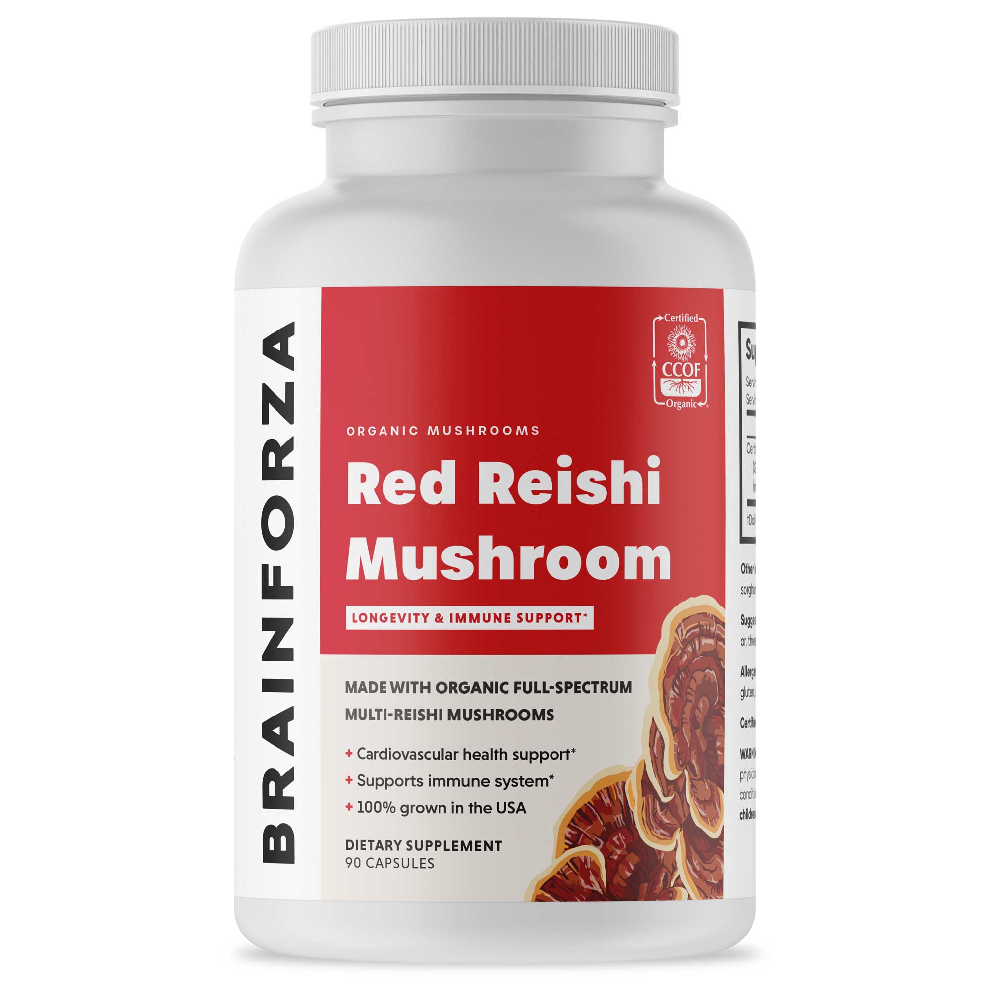 Red-Reishi-Mushroom-Mockup-1