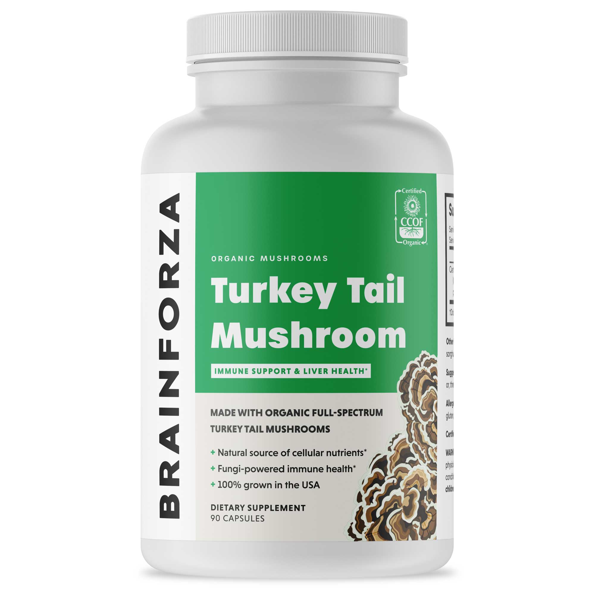 Turkey-Tail-Mushroom-Mockup-1