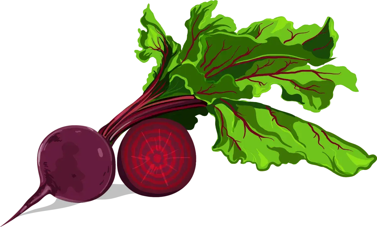 w1200_d574_beetroot_corrected