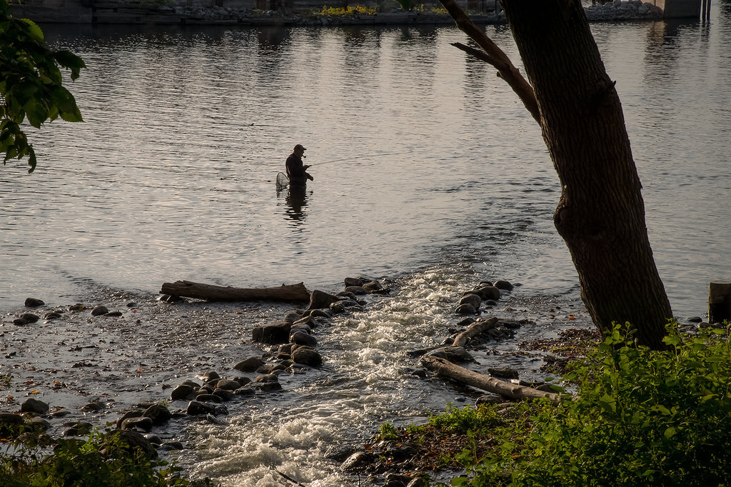 Fisherman