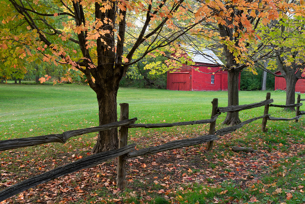 Grand Isle West Shore Farm