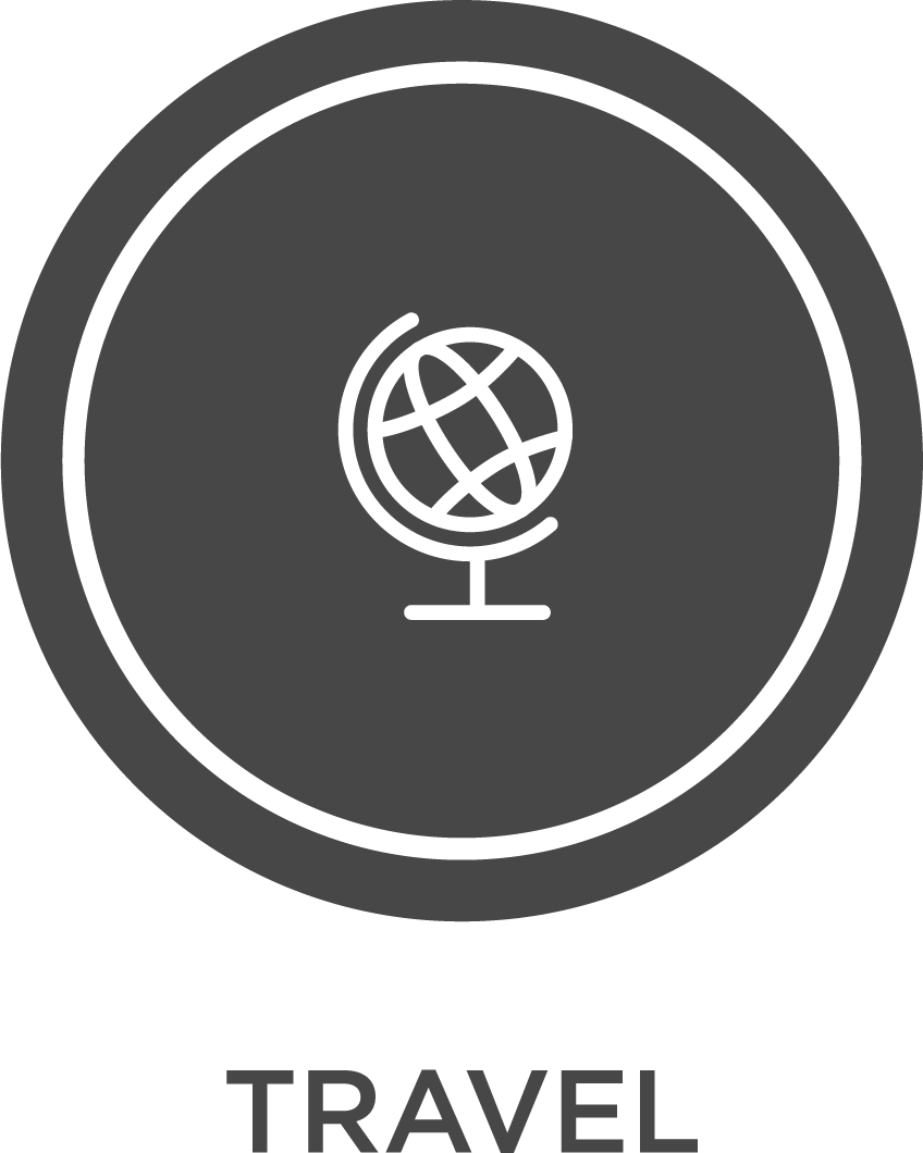 gray icon depicting a globe of planet Earth
