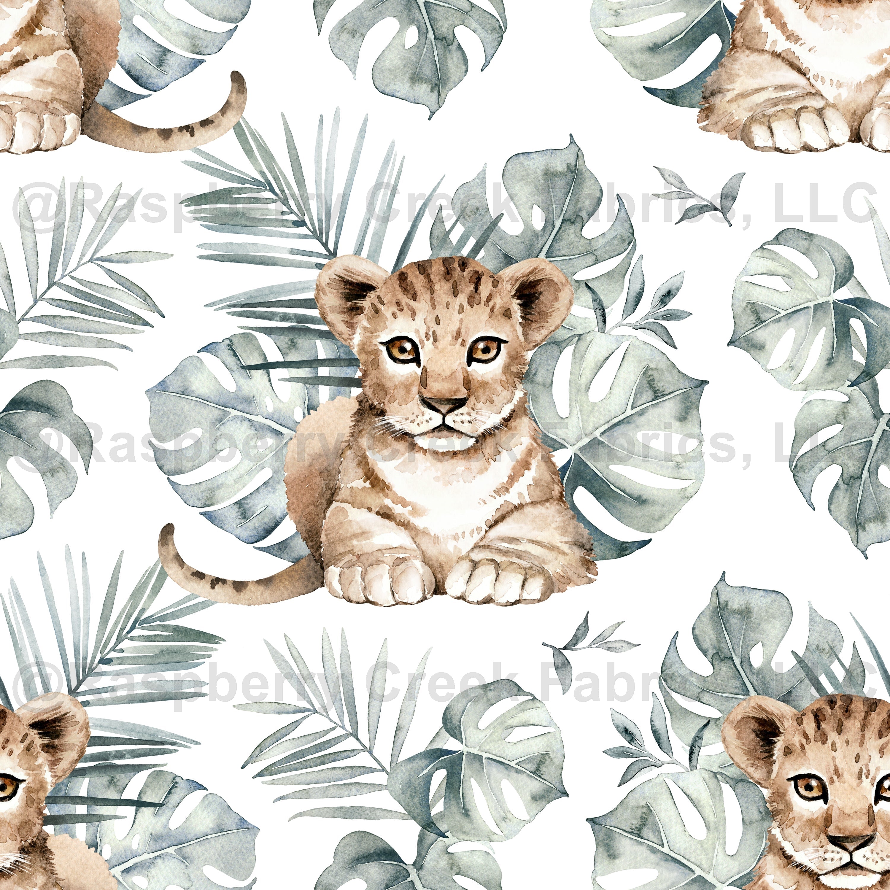 Baby lion by MirabellePrint / White background